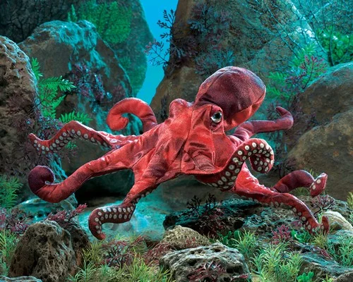 octopus.jpg