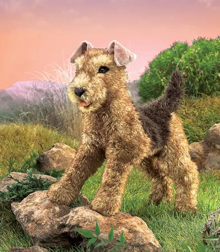 airedale terrier.jpg