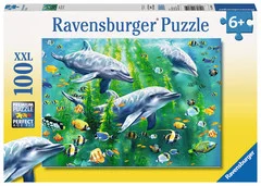 Dolphin Trio - Box Cover.jpg