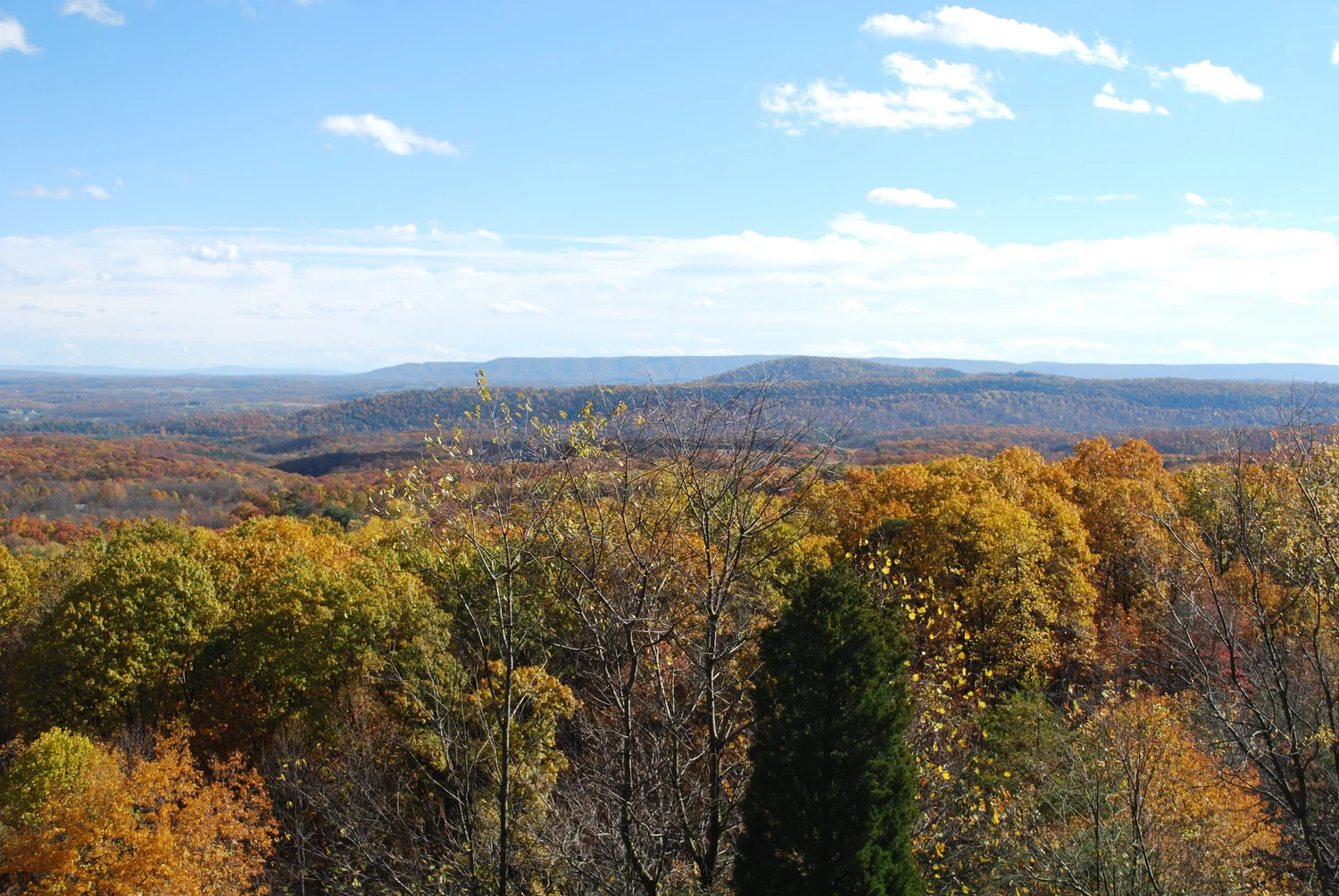 60 Hikes Within 60 Miles: Harrisburg — WHISTLESTOP BOOKSHOP