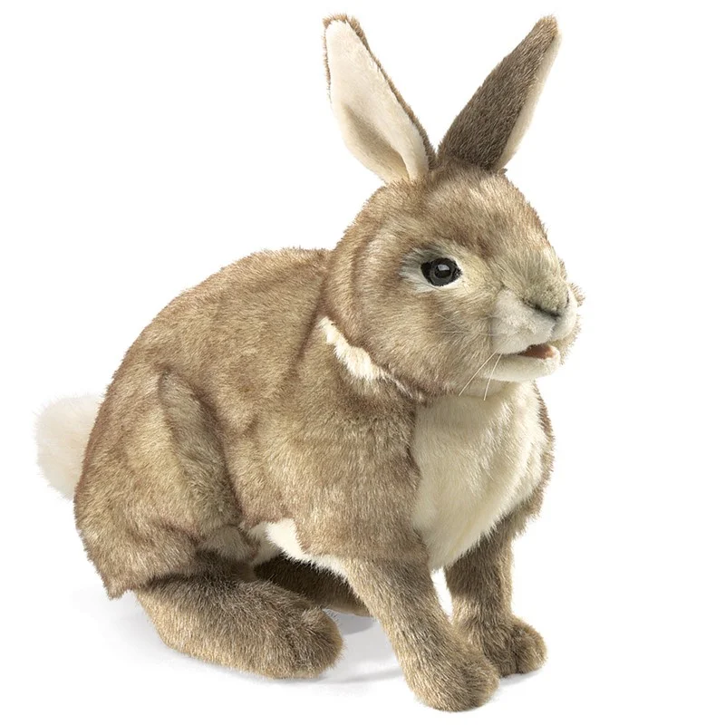cottontail rabbit.jpg