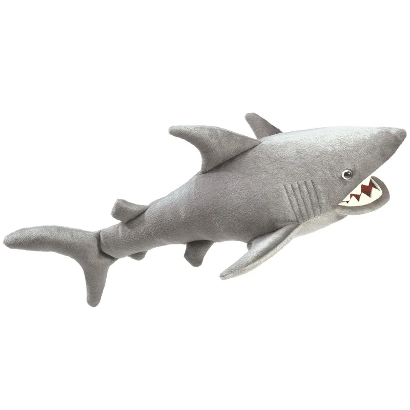 shark.jpg