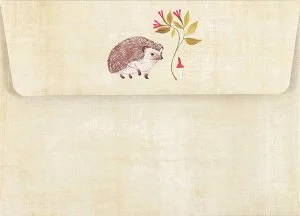 hedgehog envelope.jpg
