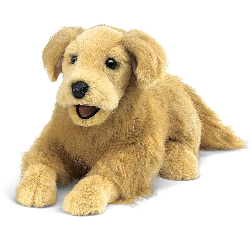 golden retriever.jpg