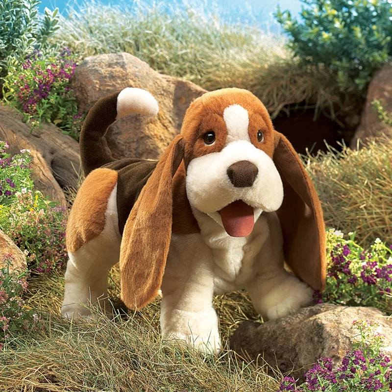 basset hound in country.jpg