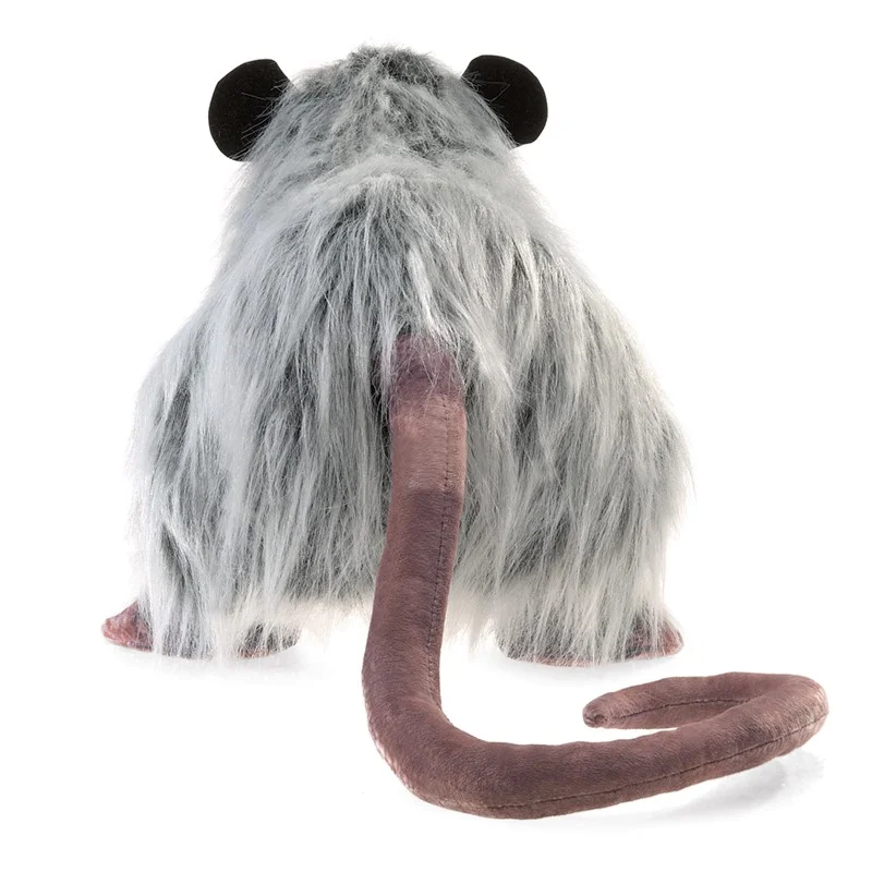 opossum back.jpg