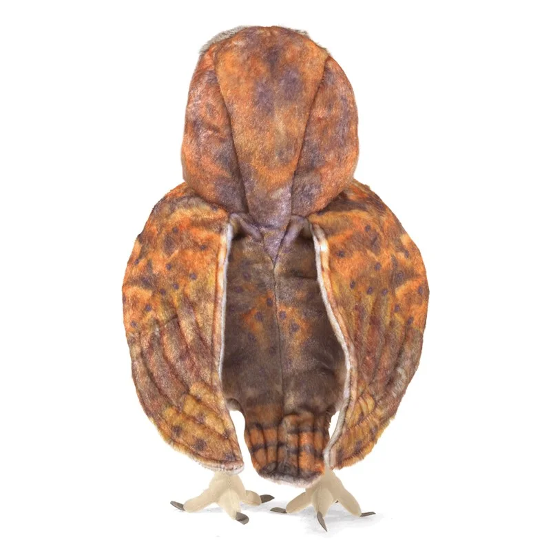 barn owl back.jpg