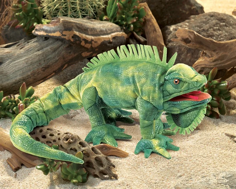 iguana in desert.jpg