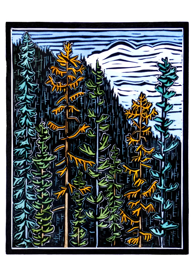 molly-hashimoto-trees-boxed-notecard-assortment-123.jpg