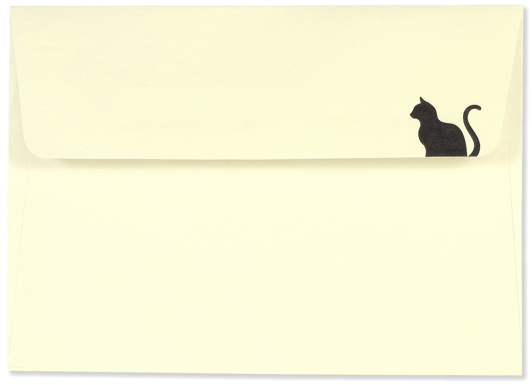 black cat note cards envelope.jpg