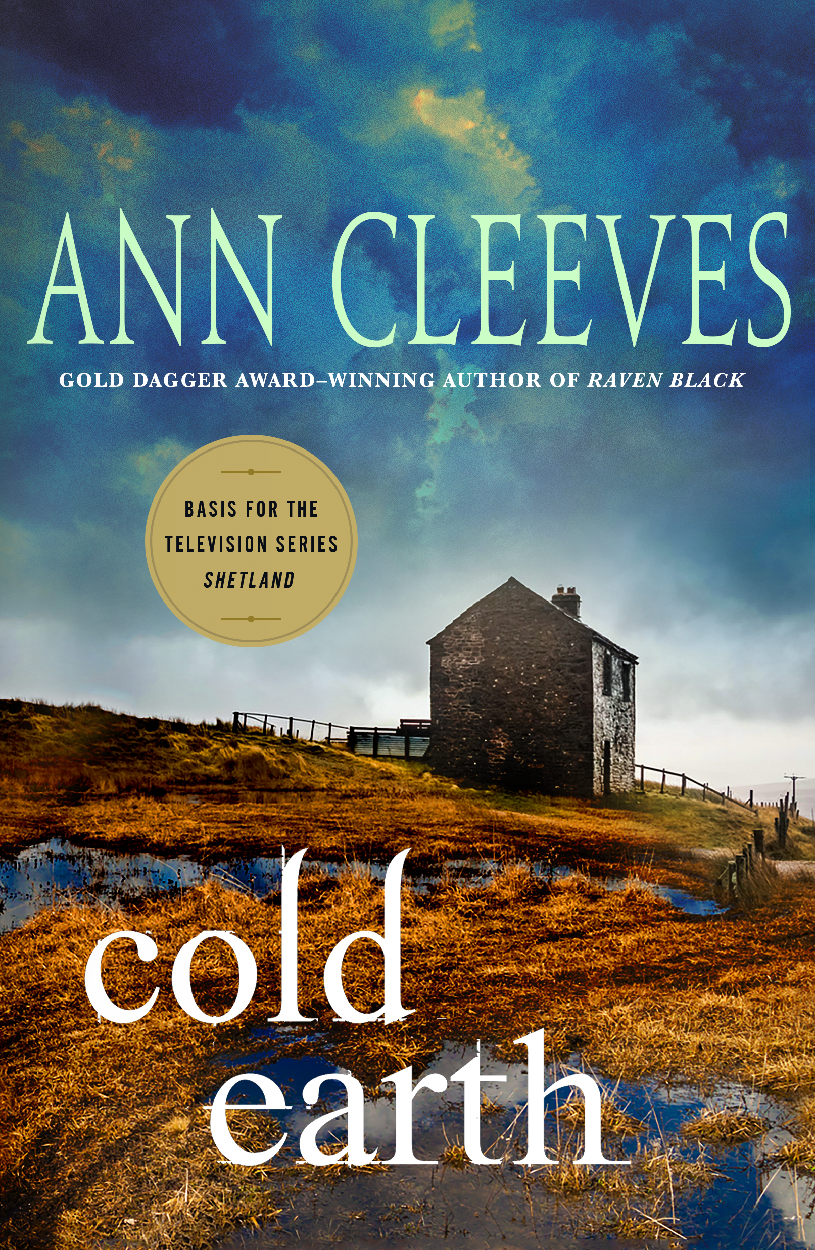 cold earth by ann cleeves.JPG