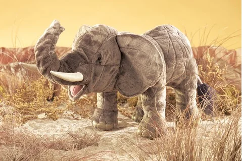 elephant.jpg