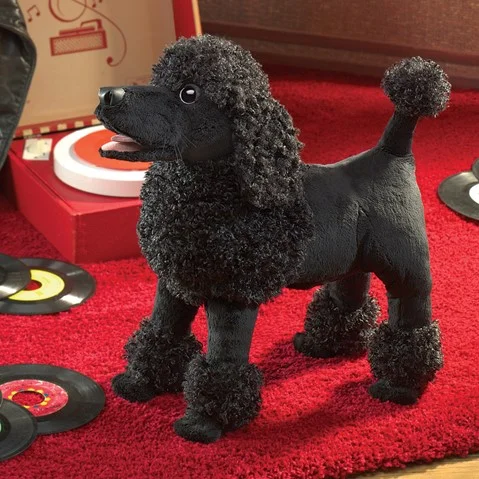 poodle.jpg