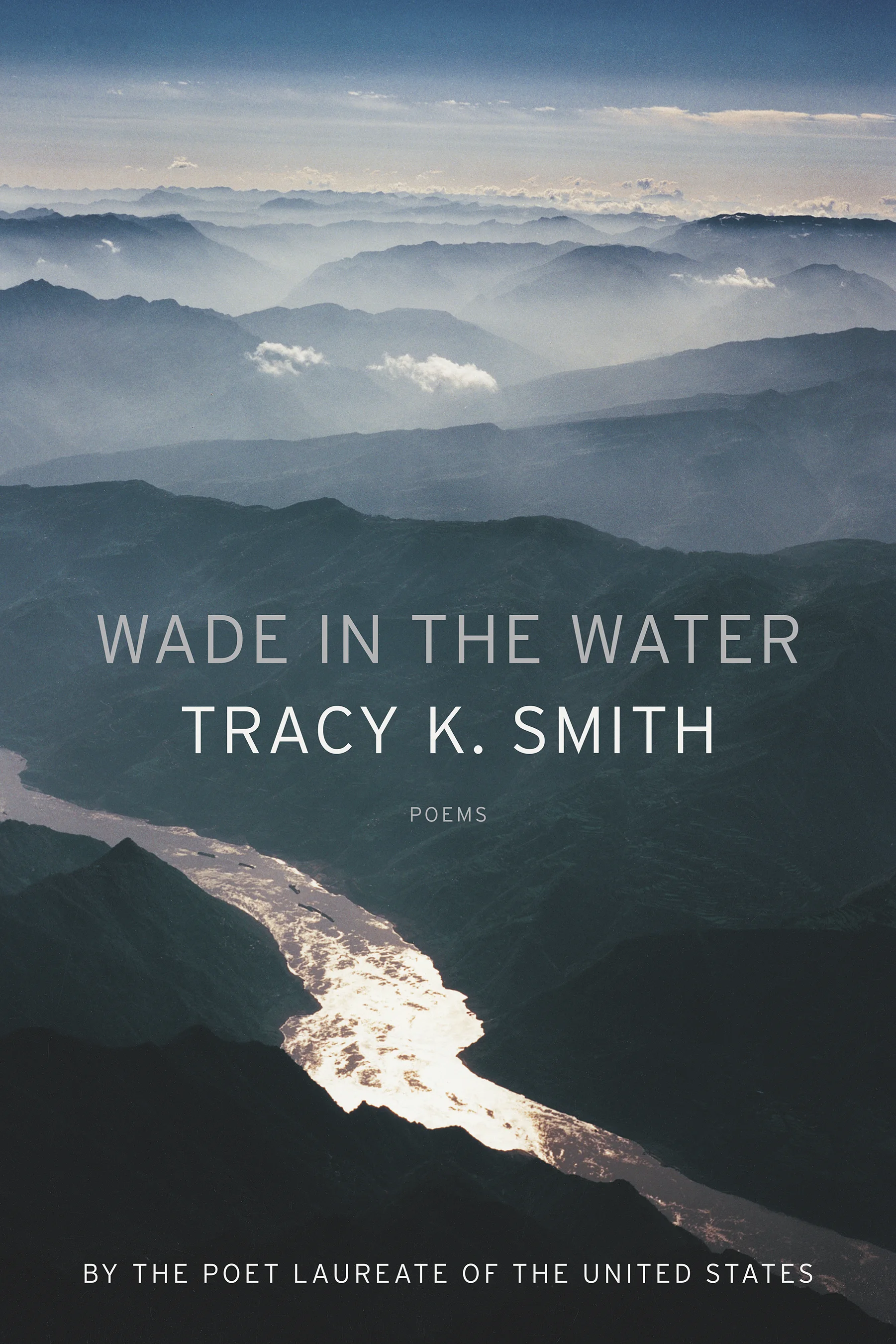 wade in the water.jpg