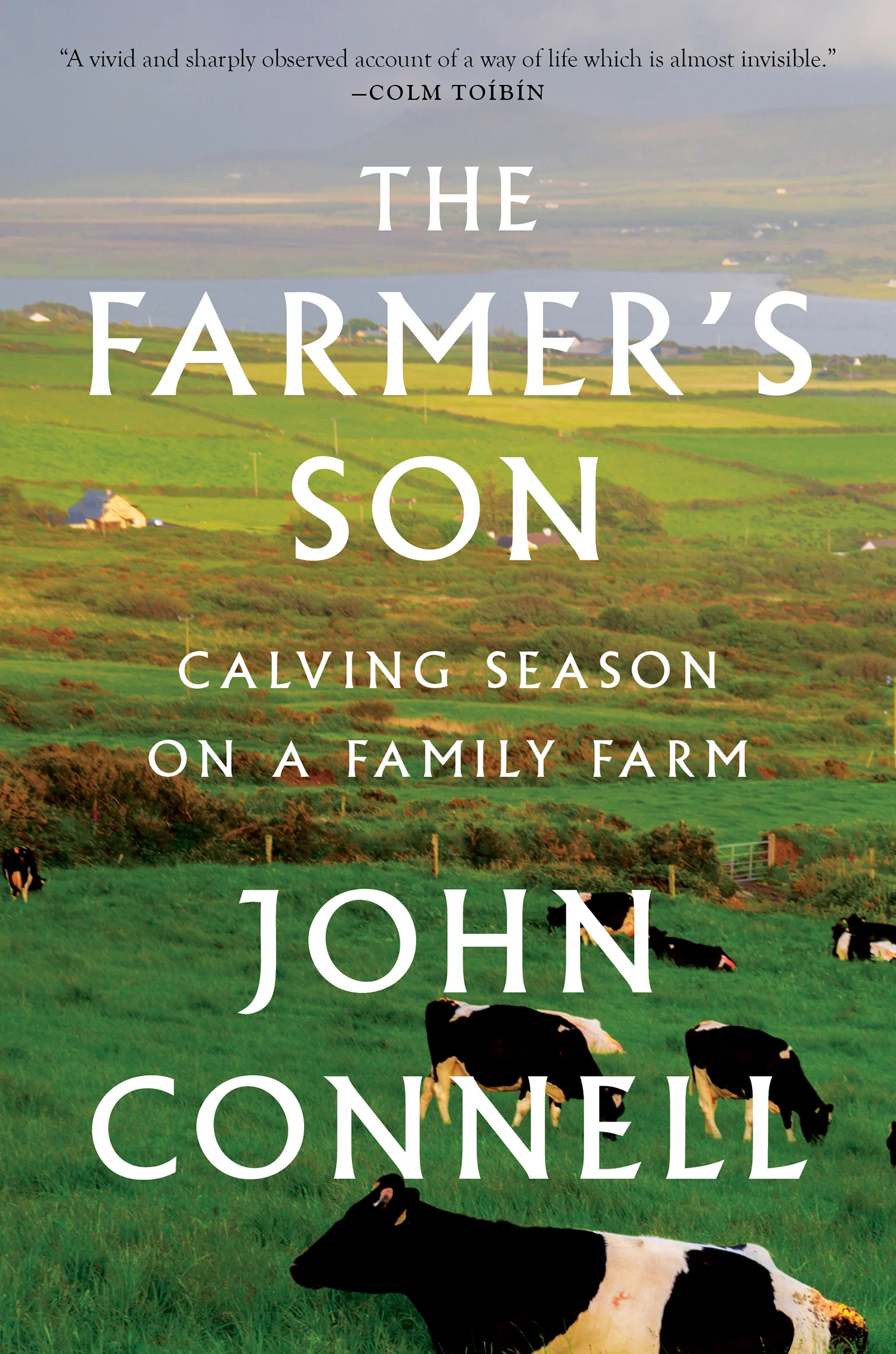 the farmer's son.jpg