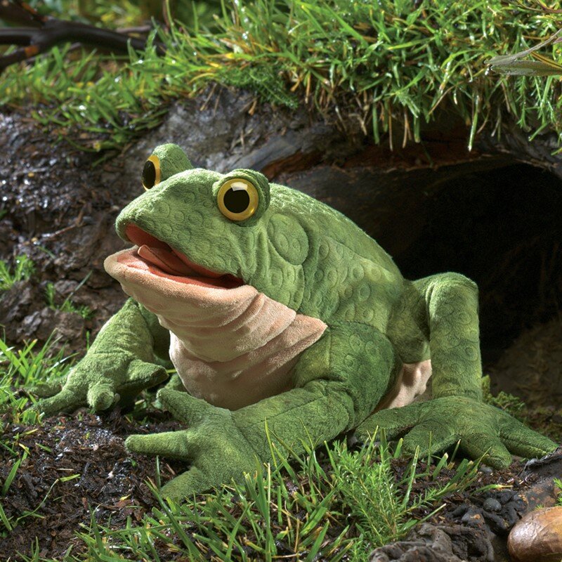 toad.jpg