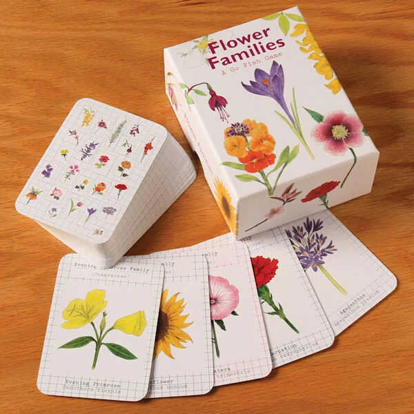 flower families with spread cards.jpg