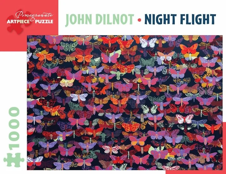 john-dilnot-night-flight-1000-piece-jigsaw-puzzle-14.jpg