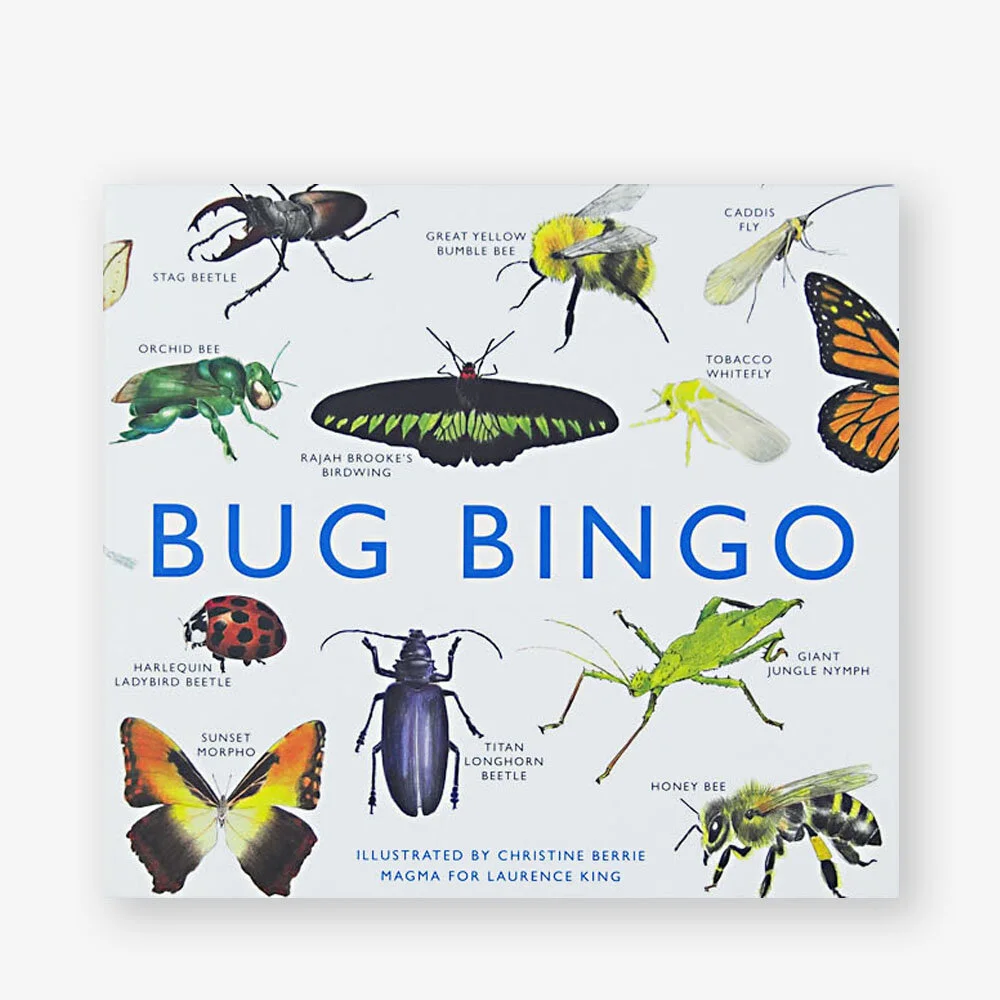 bug bingo.jpg