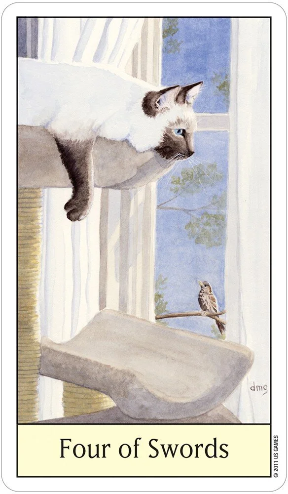 CAT78_5_1.jpg