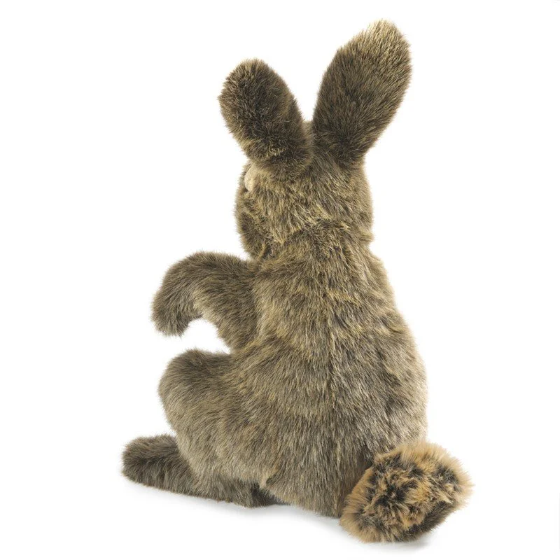 hare back.jpg