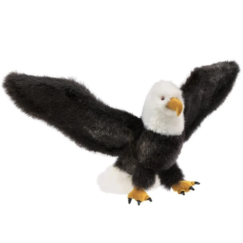 eagle plain.jpg
