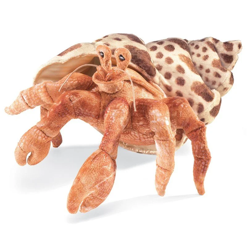 hermit crab plain.jpg