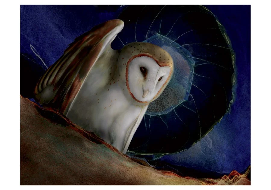 barn-owls-boxed-notecards-251.jpg