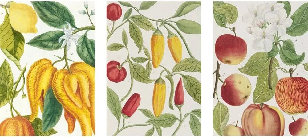 botanical notebook set 3 books.jpg