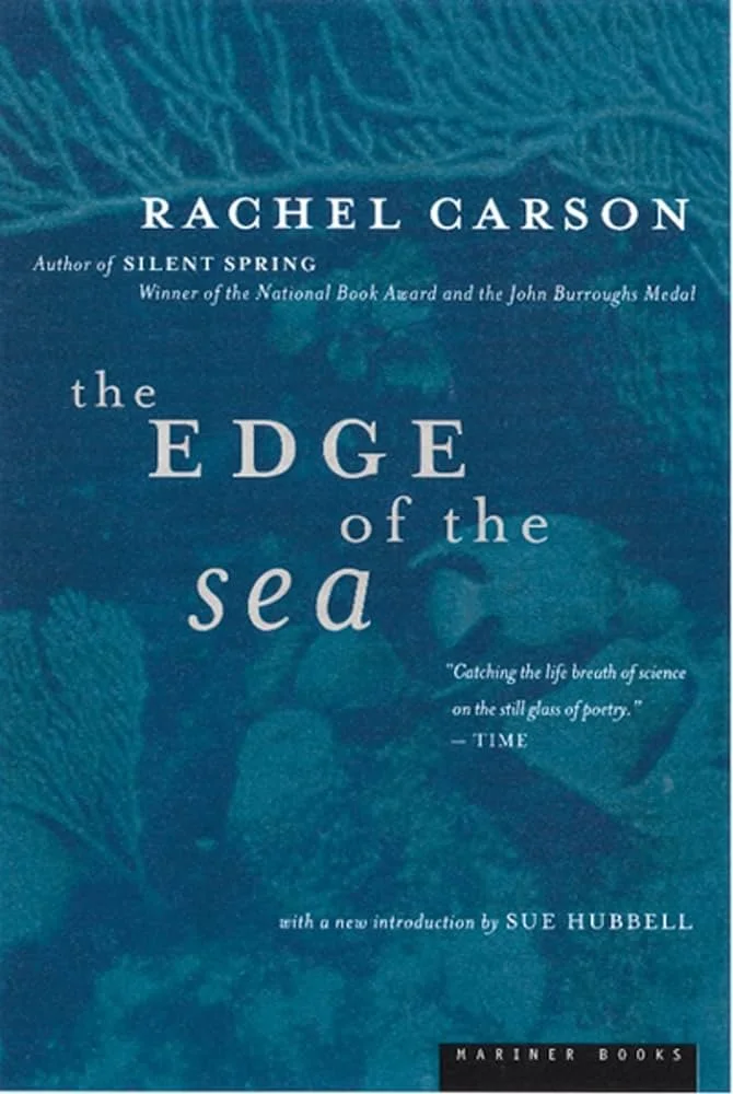 edge of the sea.jpg