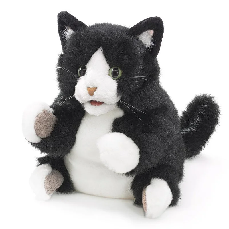tuxedo kitten studio.jpg