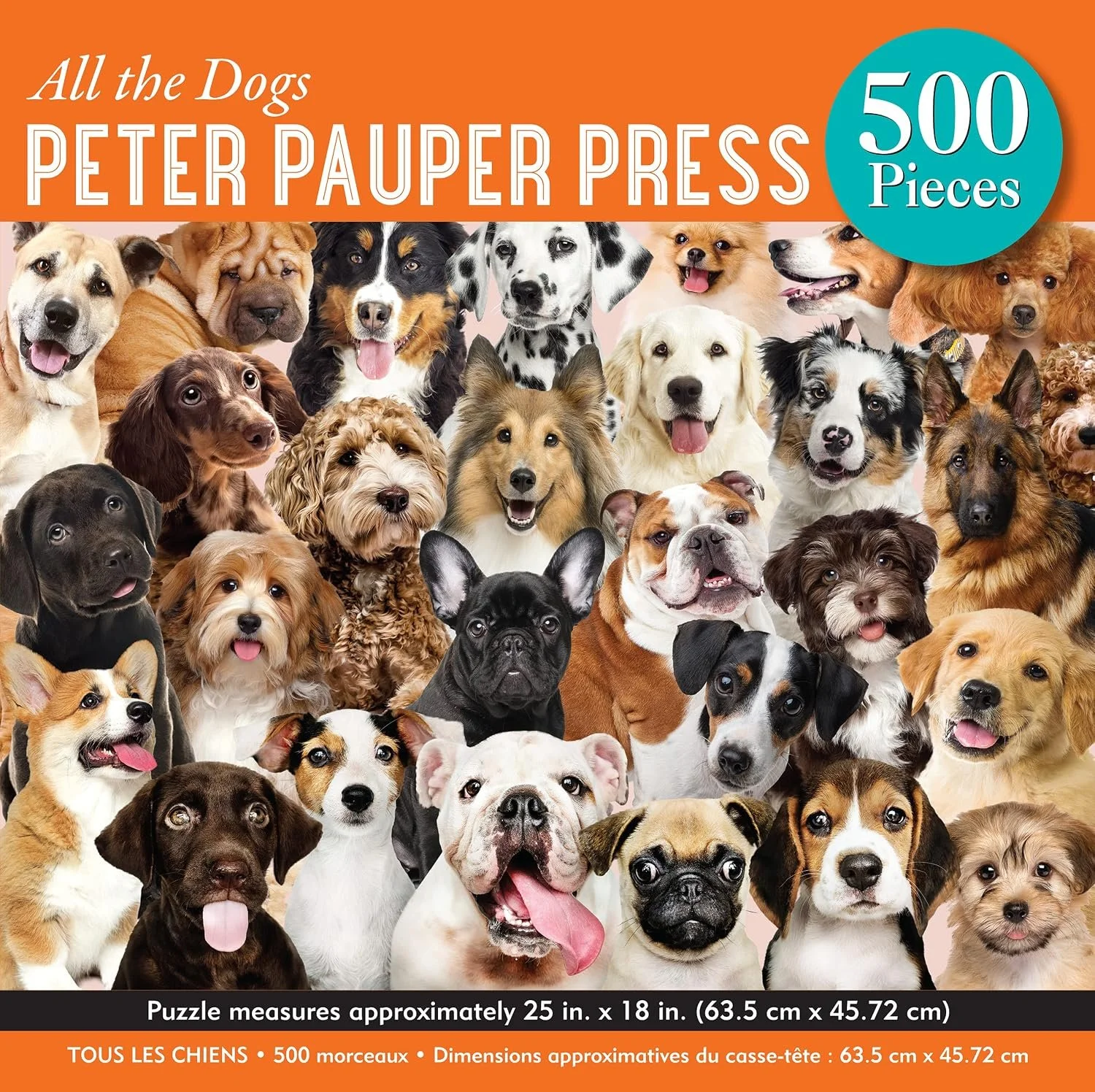 all the dogs 500.jpg