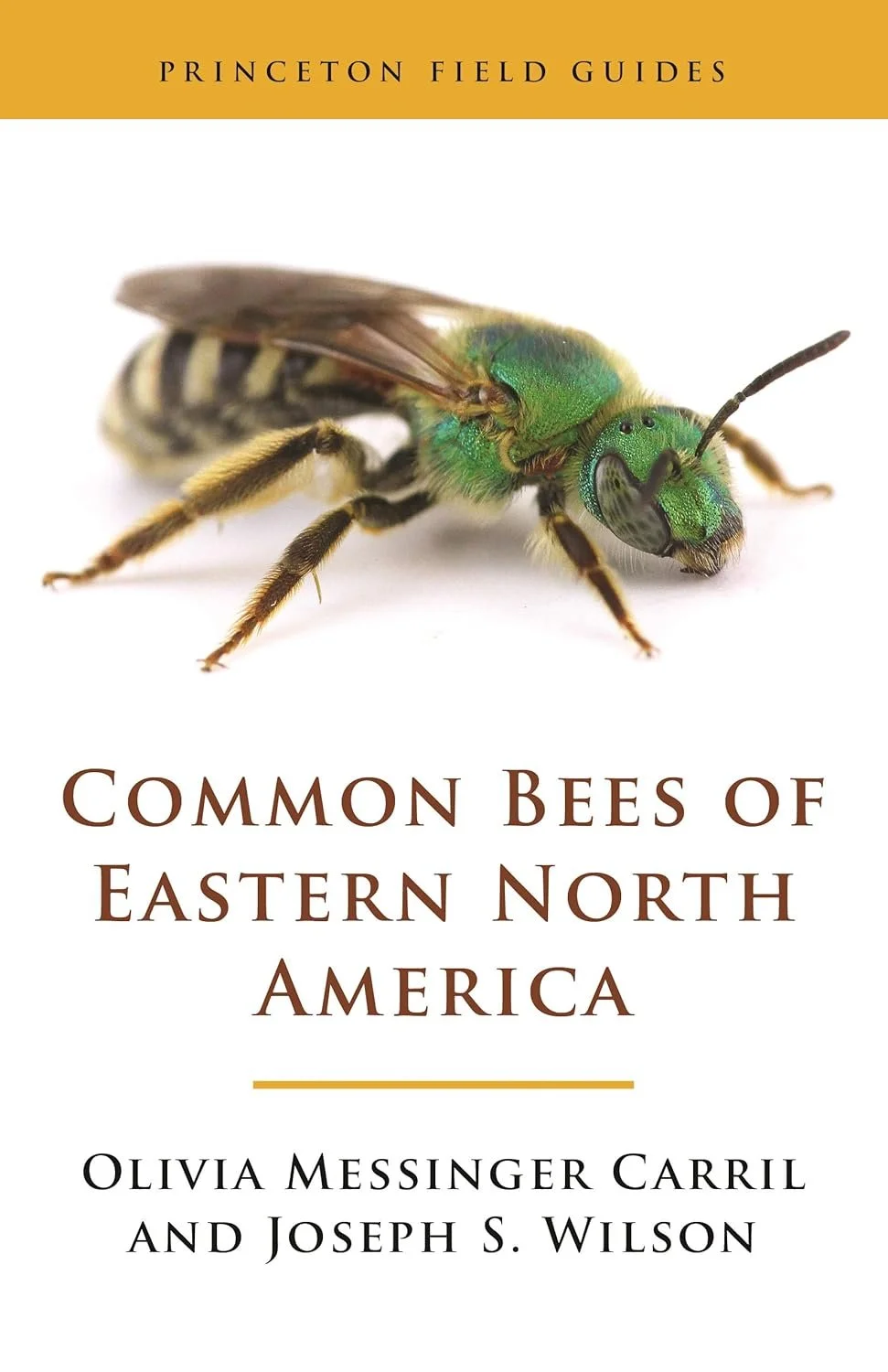 common bbes of eastern north america.jpg