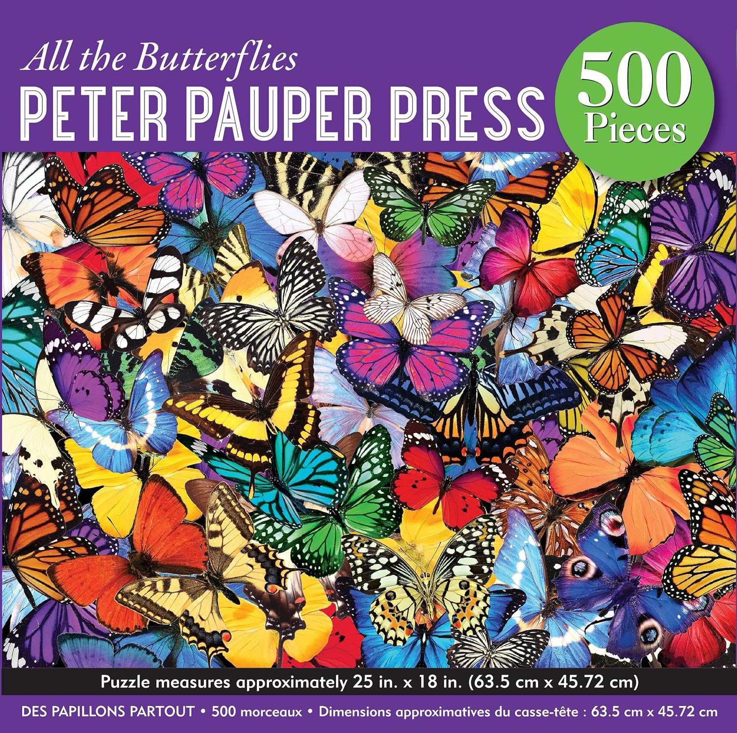 all the butterflies 500.jpg