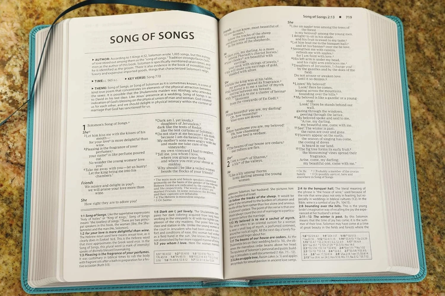 niv foundation study bible teal open.jpg