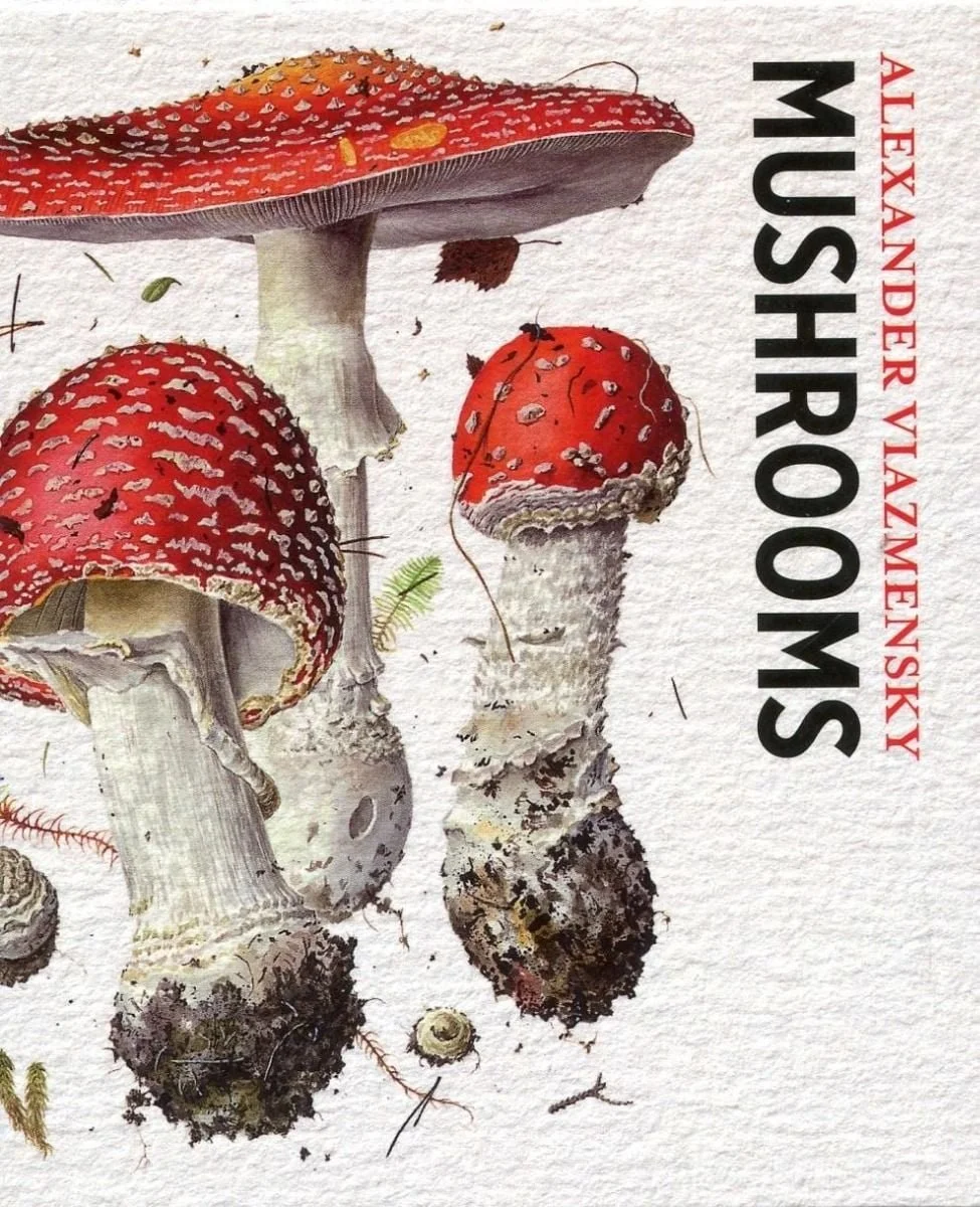 mushrooms pomegranate.jpg