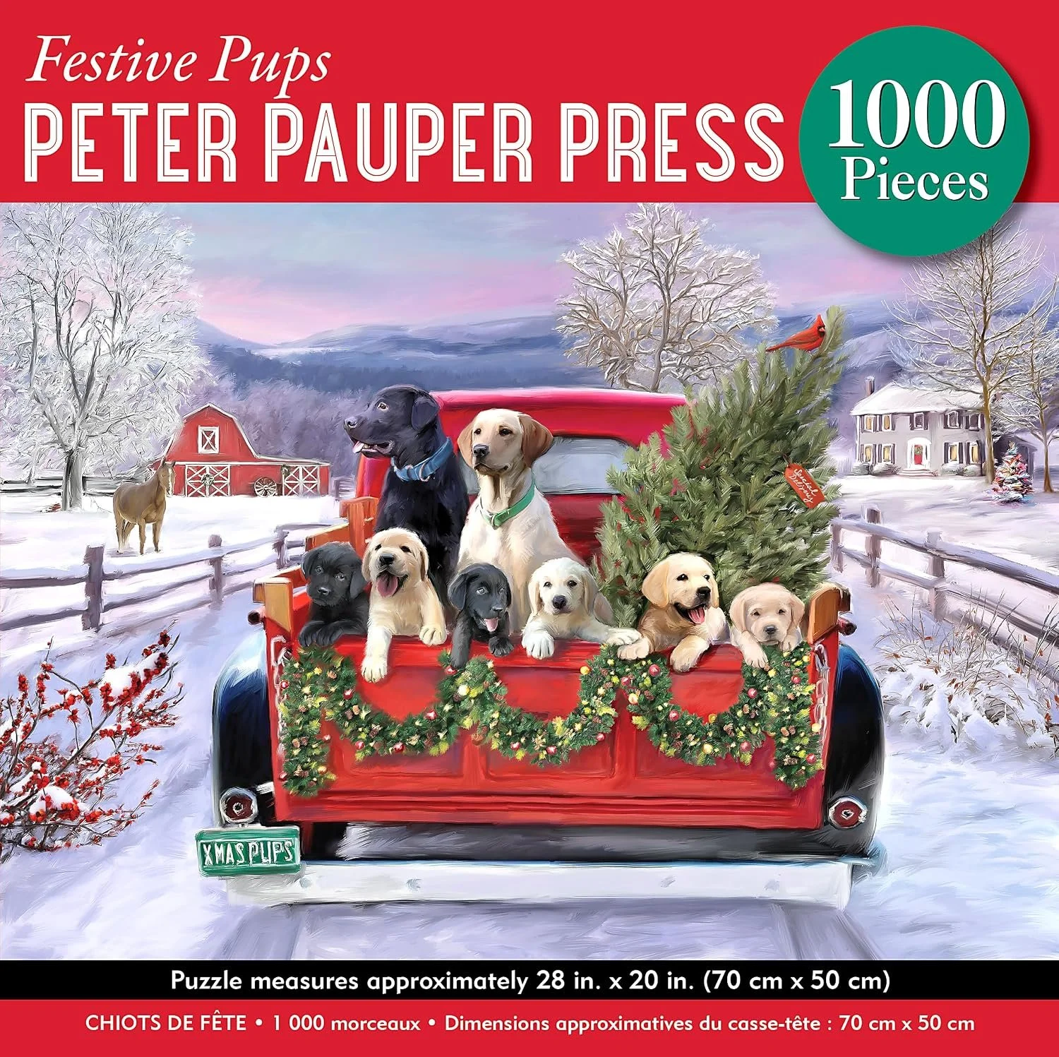 festive pups 1000.jpg