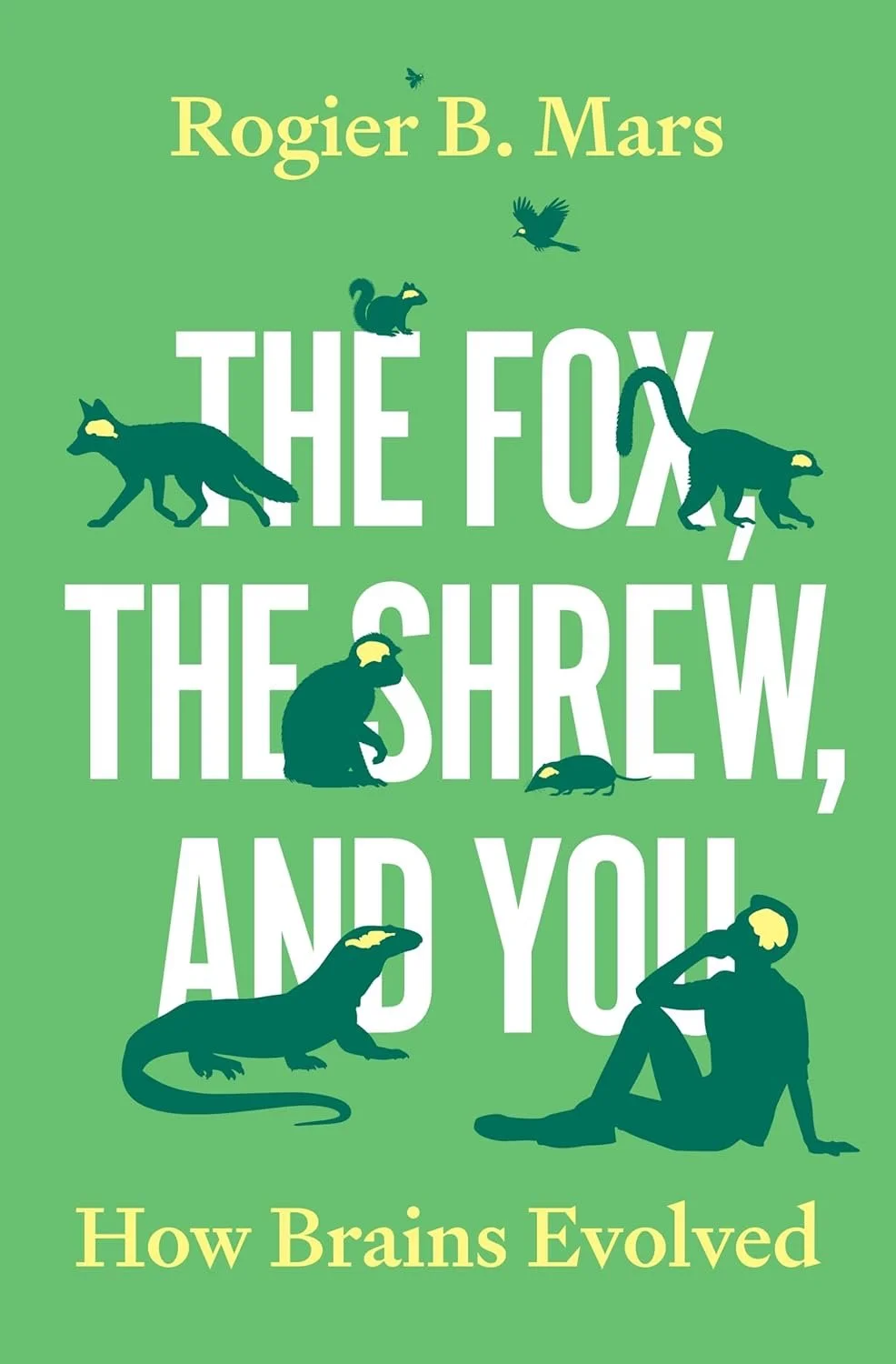 fox shrew and you.jpg