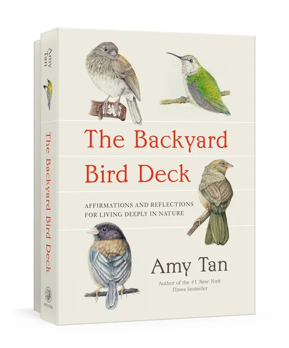 backyard bird deck.jpg
