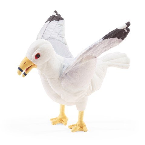 gull alt.jpg