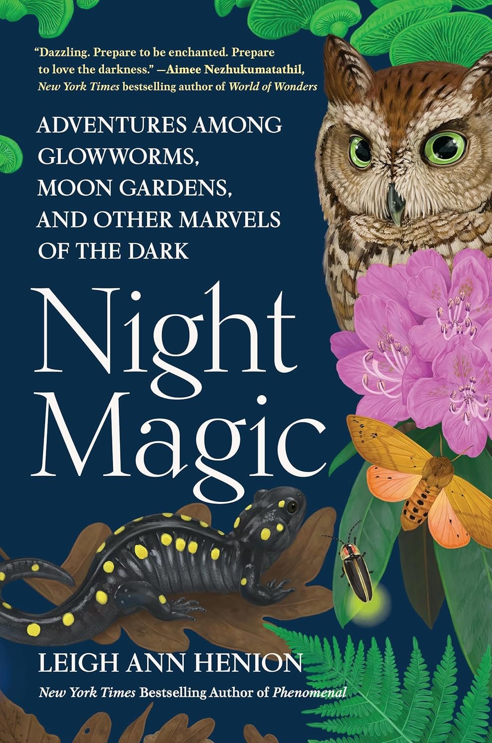 night magic.jpg