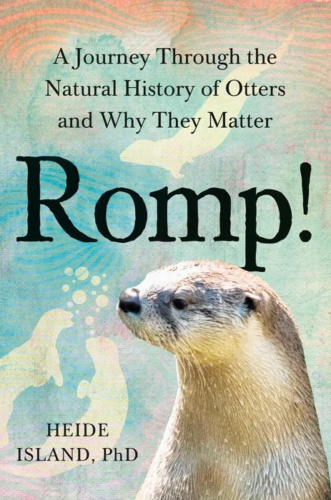 romp.jpg