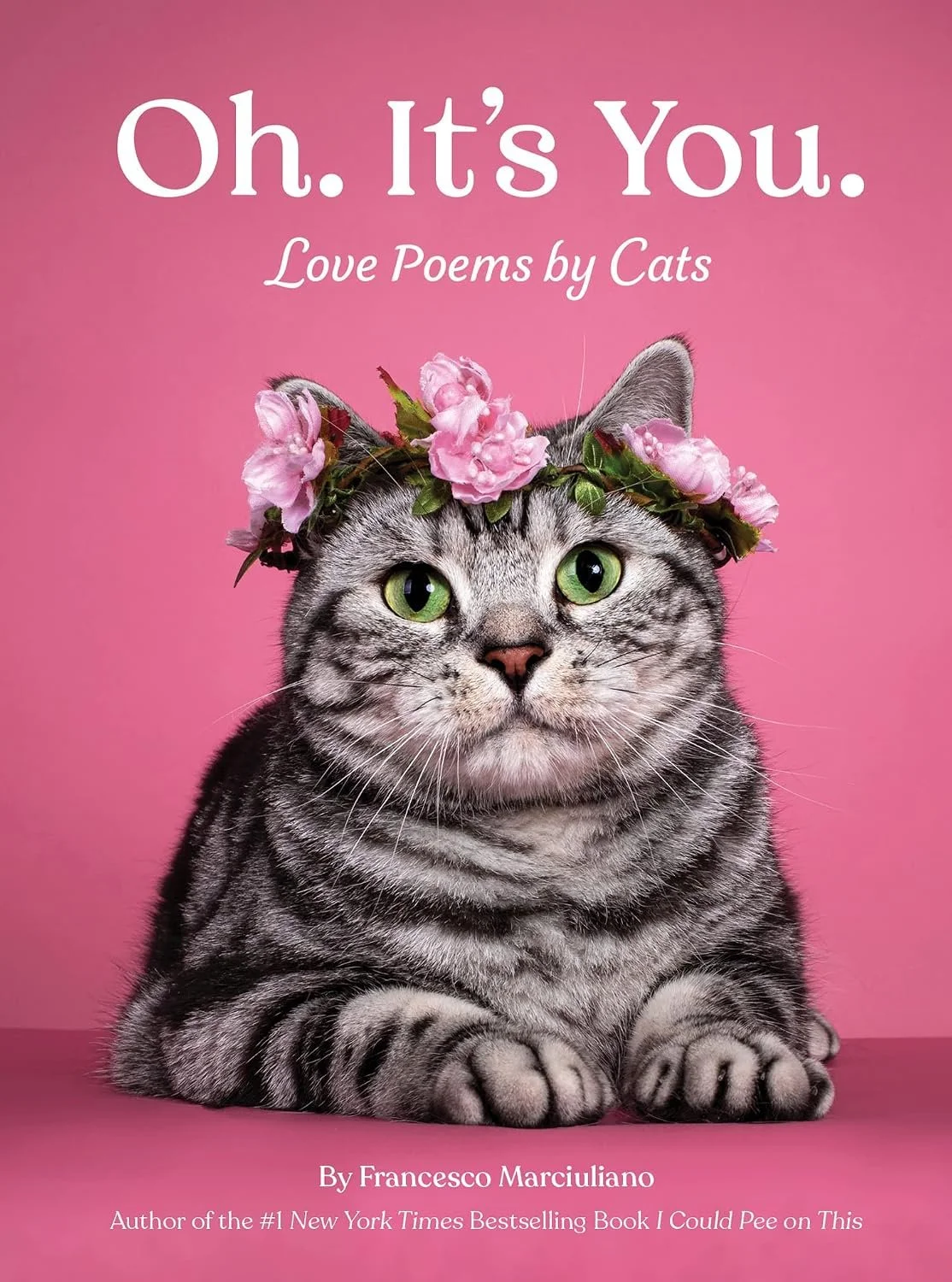 oh it's you love poems by cats.jpg