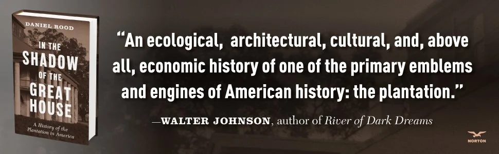 in the shadow of the great house banner.jpg