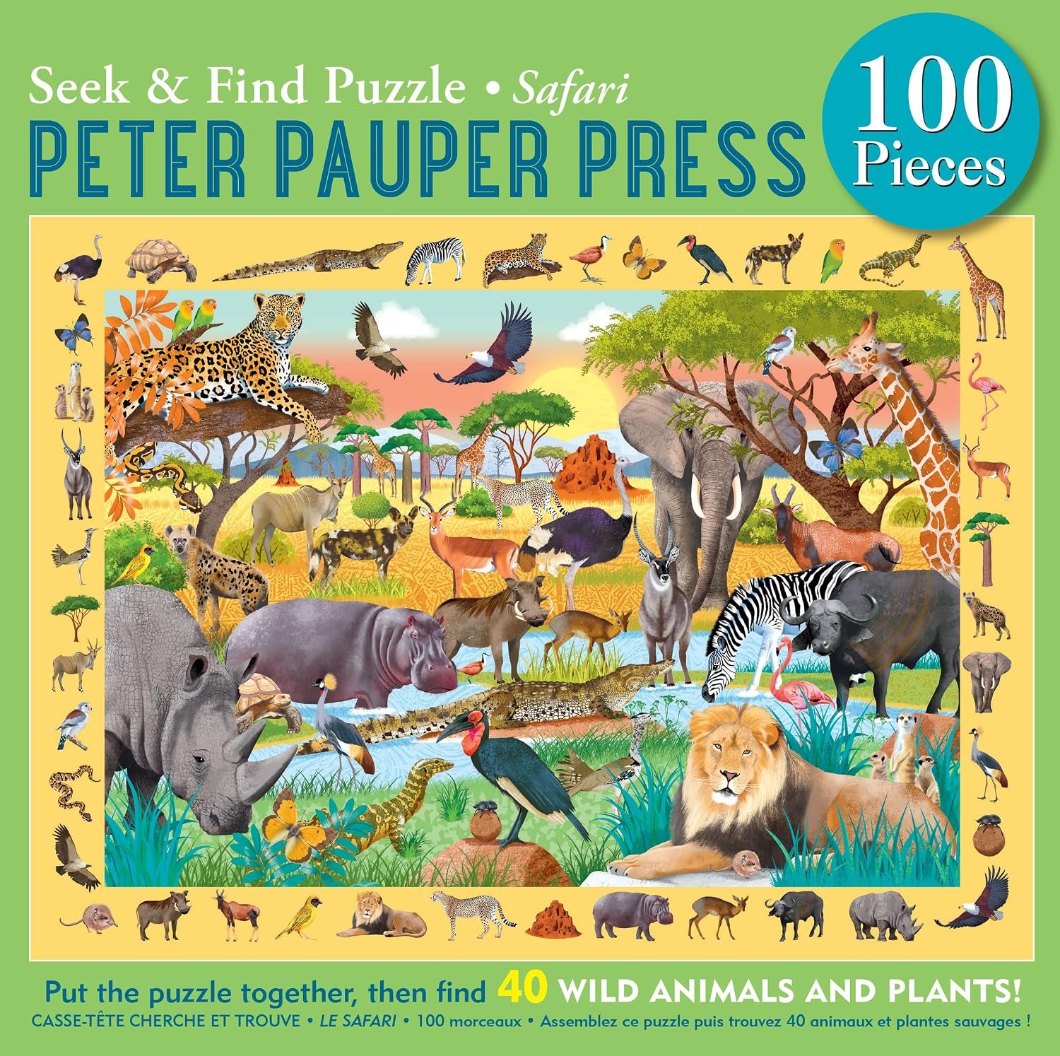 seek and find safari.jpg