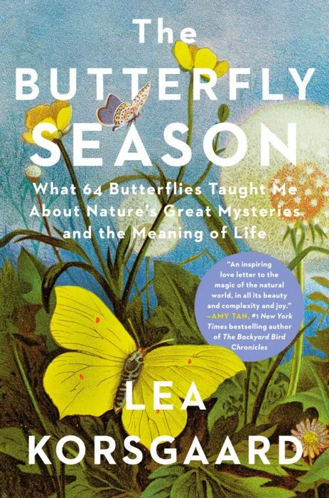butterfly season.jpg