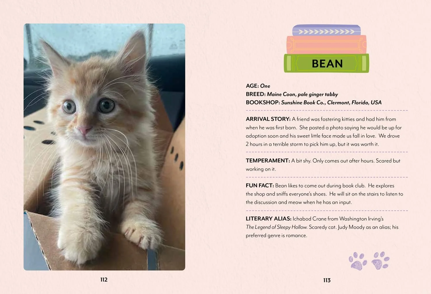 bookshop cats bean.jpg