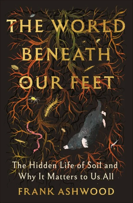 world beneath our feet.jpg