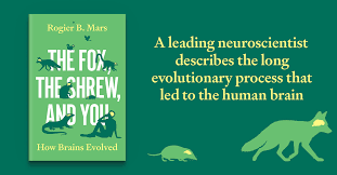 fox shrew and you banner.png