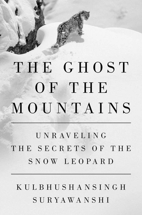 ghost of the mountains.jpg